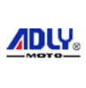 Adly accu