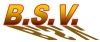 BSV accu