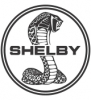 Shelby accu