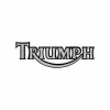 Triumph Motor accu